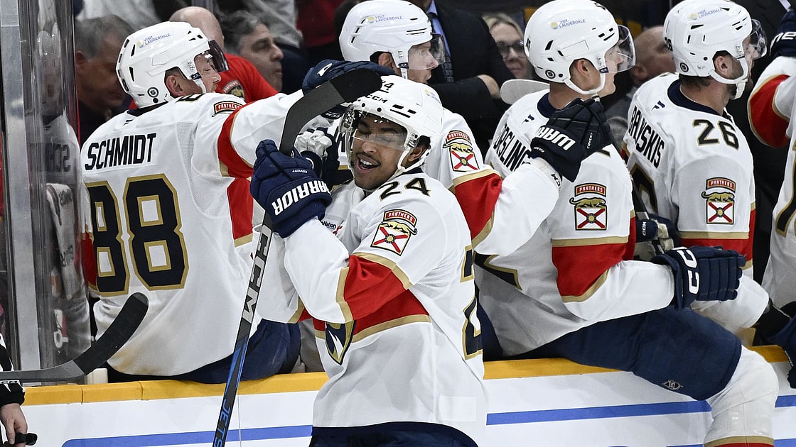 Florida panthers