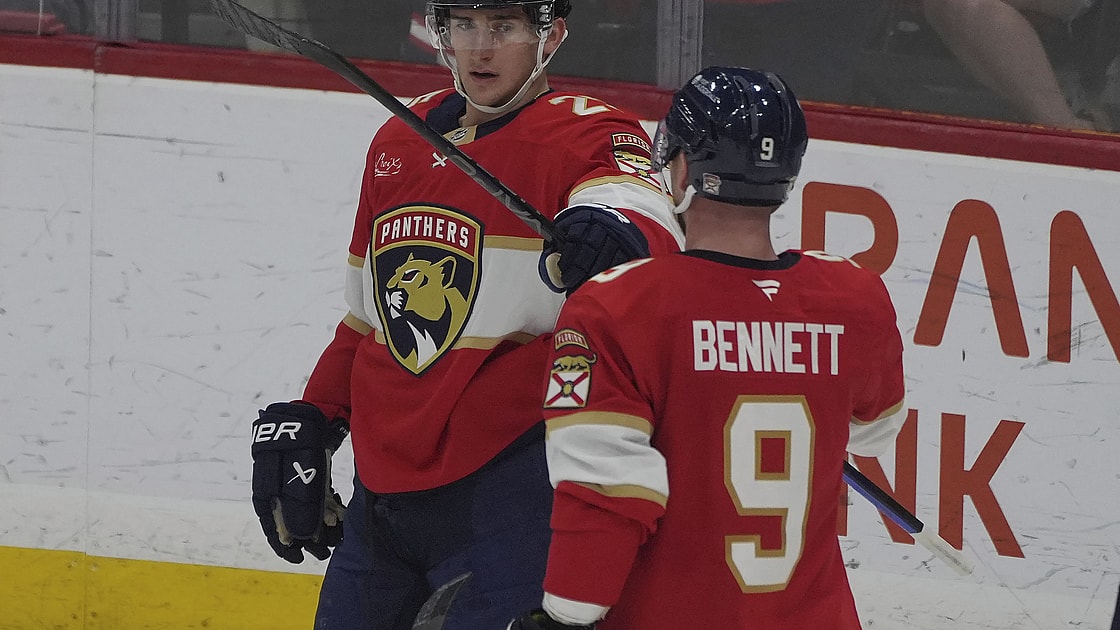 Florida panthers