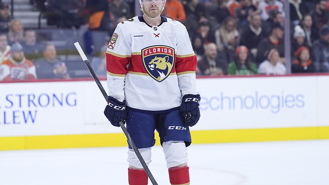 Florida panthers