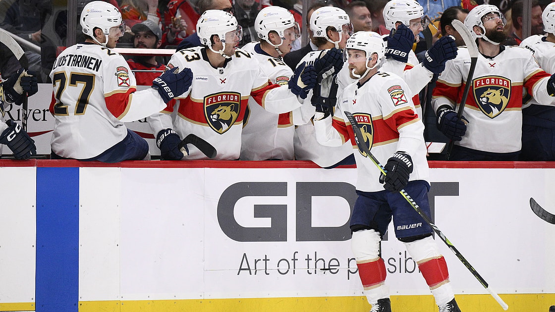 Florida panthers