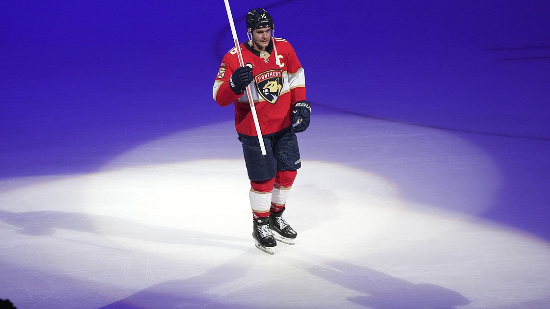 Florida panthers