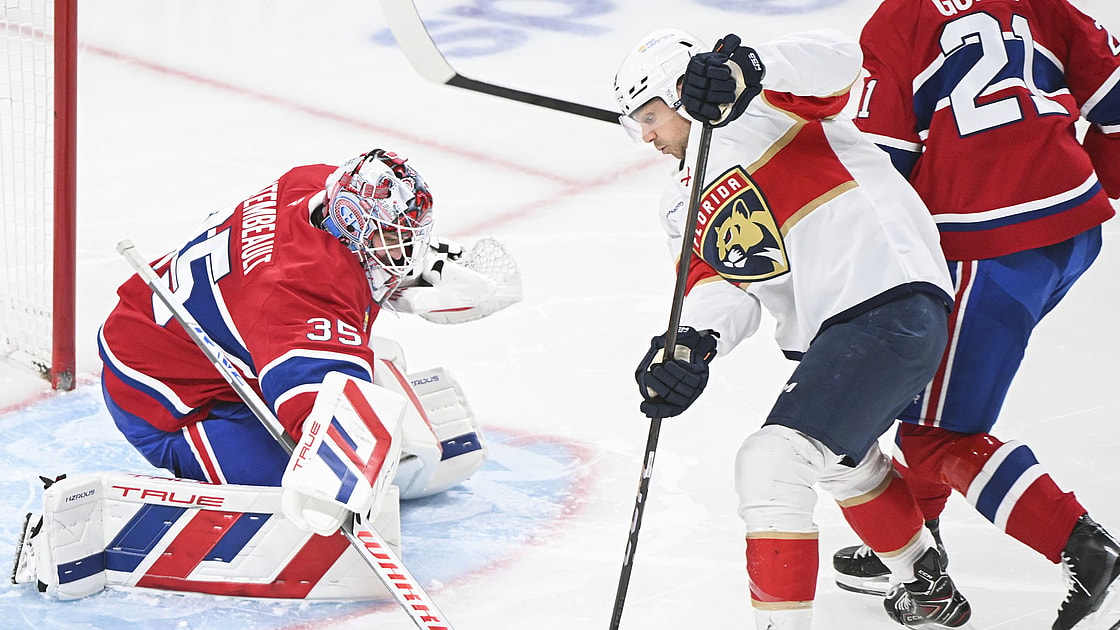 Florida panthers
