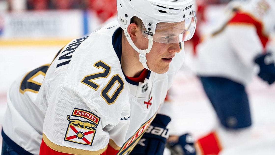 Puljujarvi suspended
