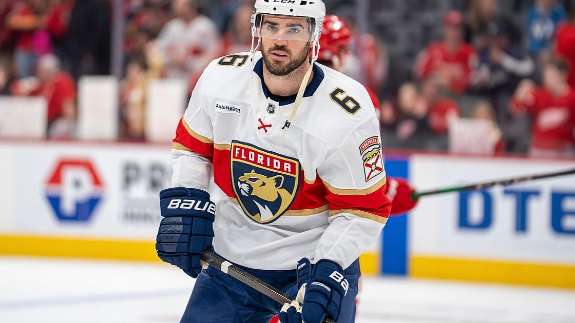 Florida panthers