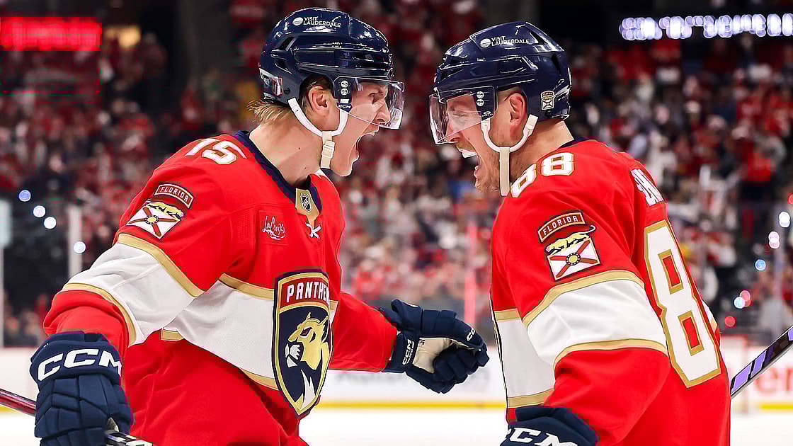 Florida panthers