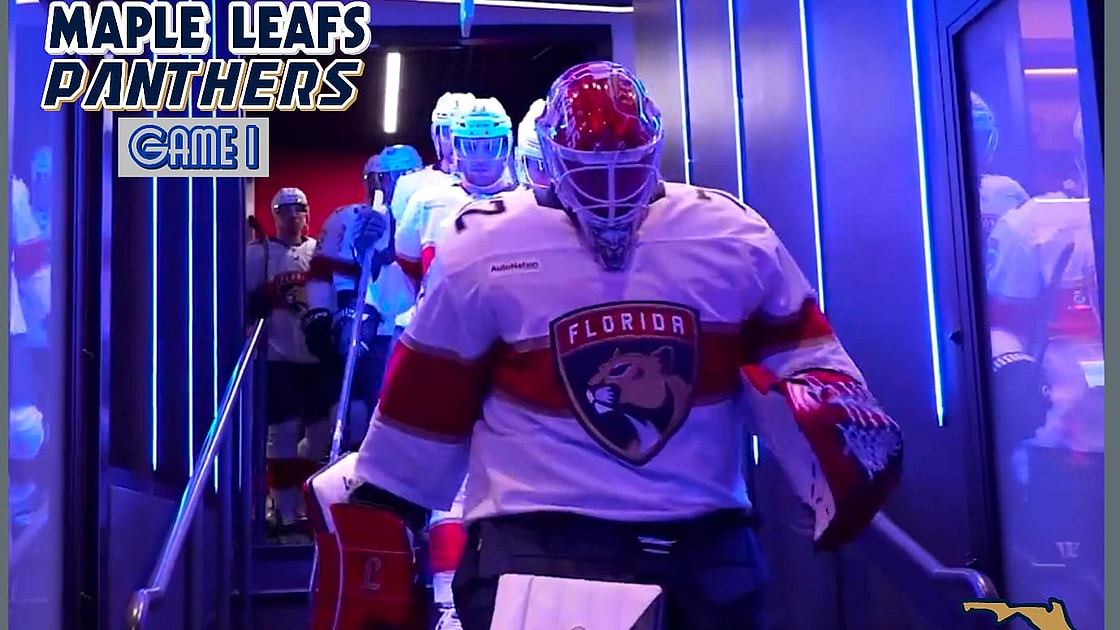 Leafs panthers