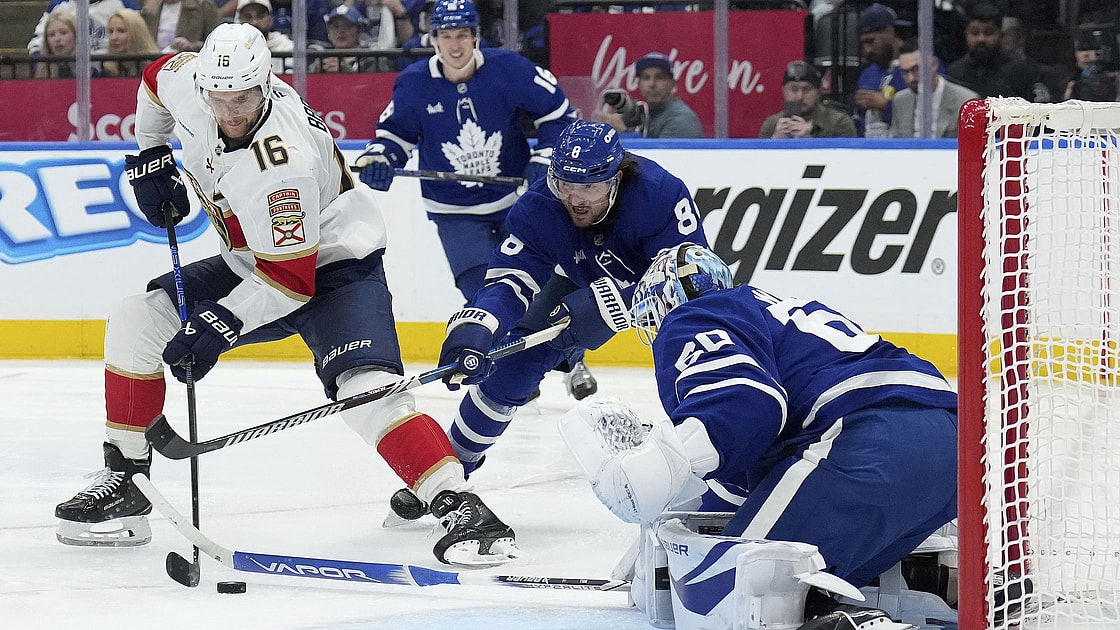 Leafs panthers