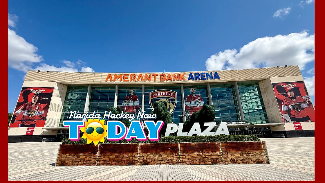 Florida panthers