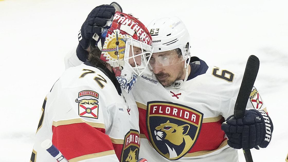 Florida panthers