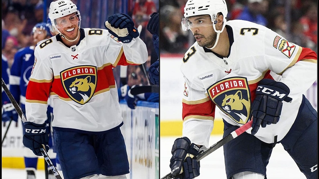 Florida panthers