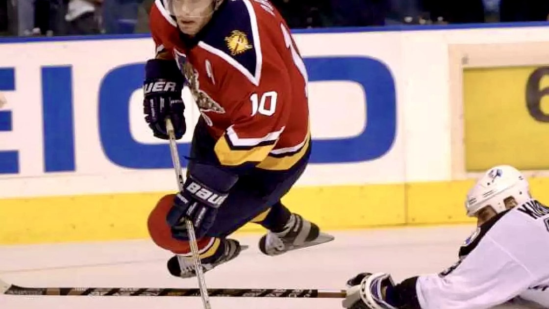 Florida panthers