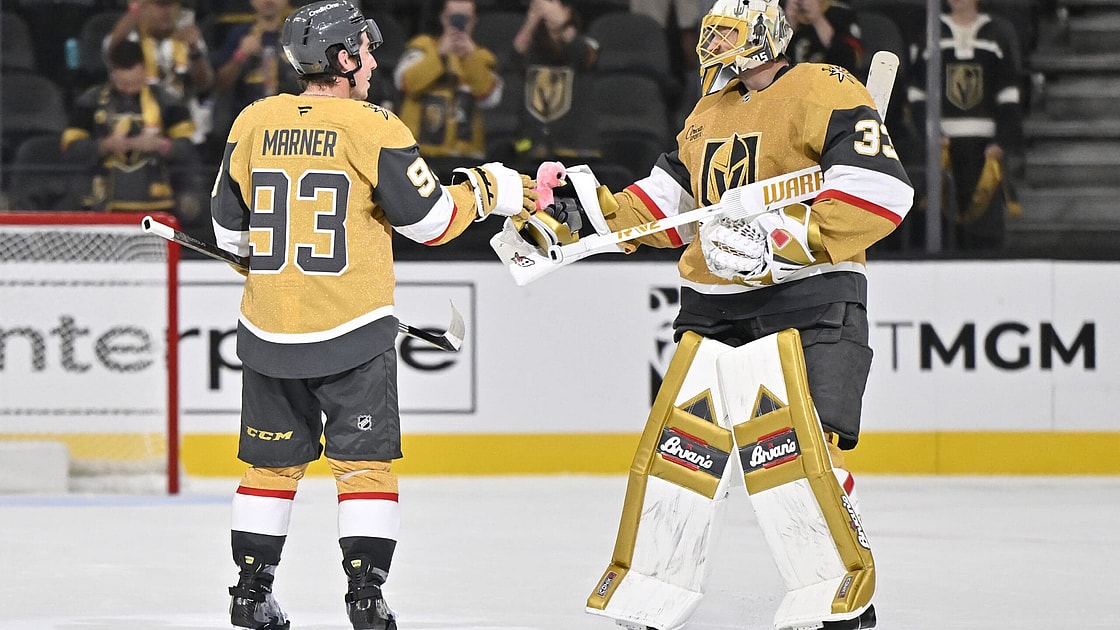 Vegas knights panthers