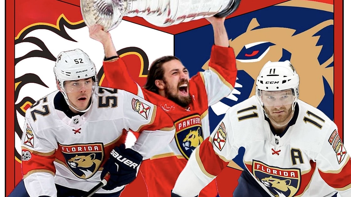Panthers flames
