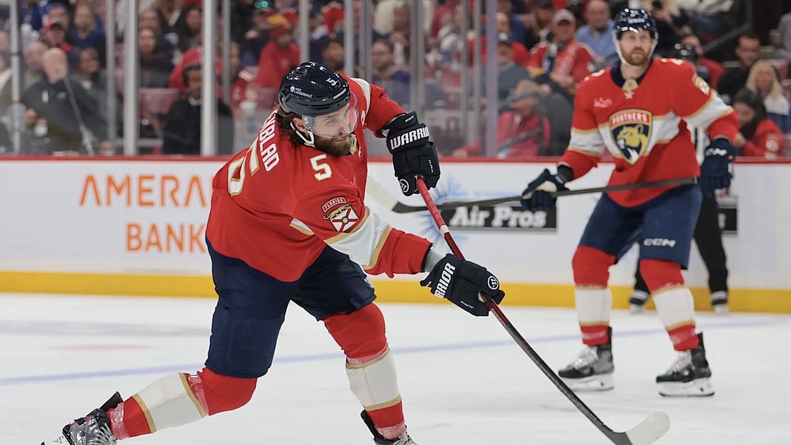 Florida panthers