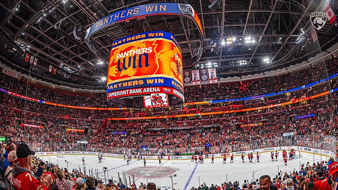 Florida panthers