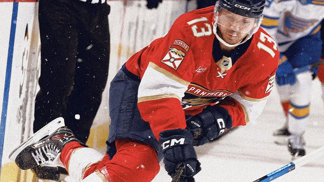 Florida panthers