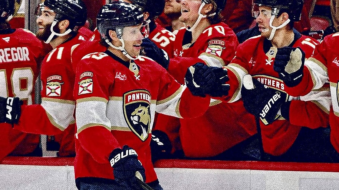 Florida panthers