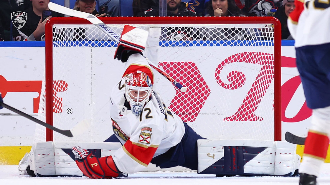 Florida panthers