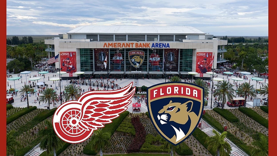 Panthers wings