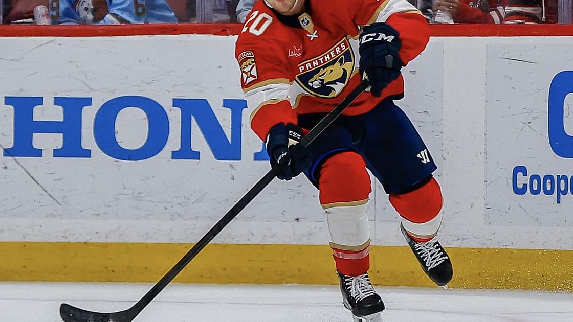 Florida panthers
