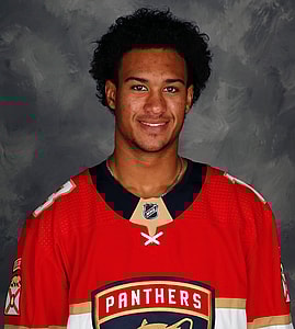 Florida panthers propects