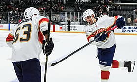 Florida panthers
