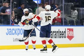 Barkov gudas