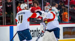 Florida panthers