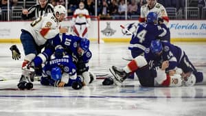 Panthers lightning fight