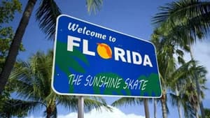 Florida panthers