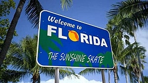 Florida panthers