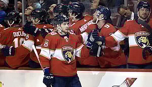 Florida panthers mamin