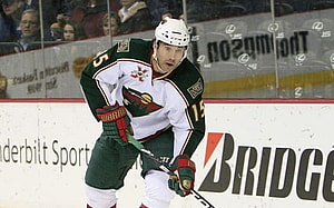 Florida panthers