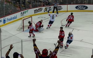 Florida panthers