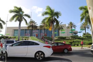 Panthers Islanders
