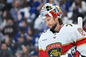 Florida panthers
