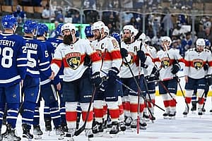 Florida panthers
