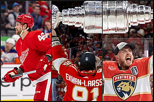 Florida panthers