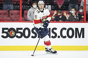 Florida panthers
