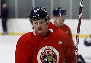 Hoffman dadonov panthers free