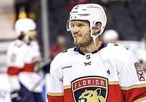 Florida panthers