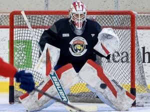 Panthers sabres