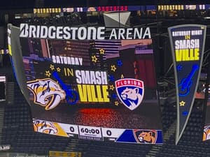 Florida panthers