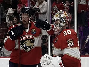 Florida panthers