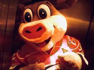 Hurricanes Florida Panthers Carolina