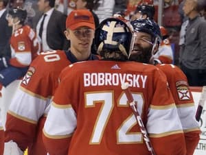 Florida panthers