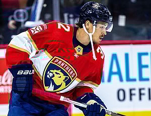 Florida panthers