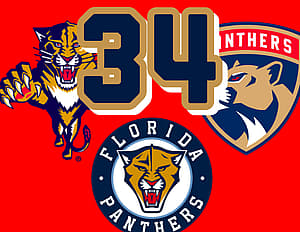 Florida panthers