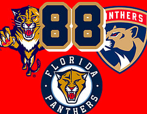 Florida panthers
