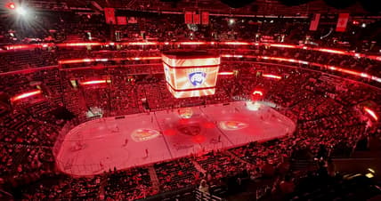 Florida panthers
